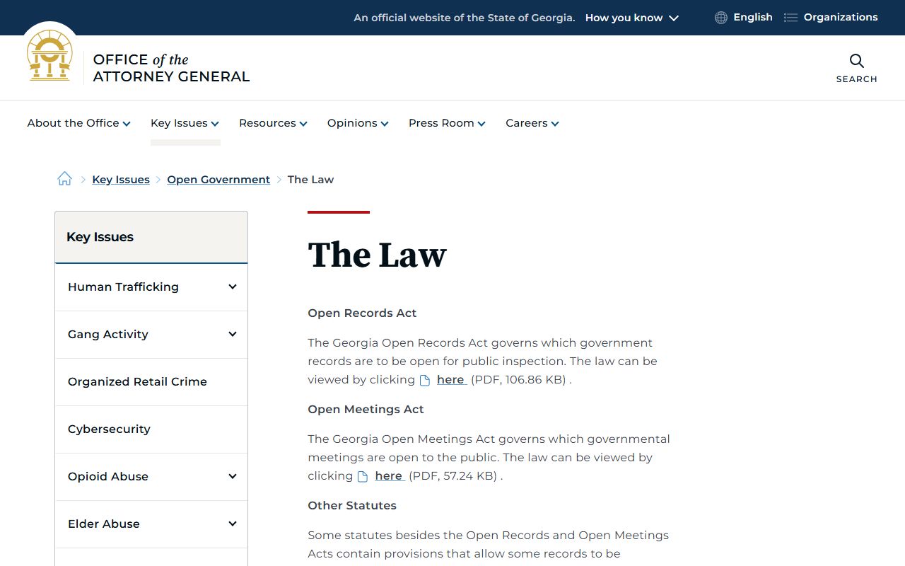 Camden County court records Georgia open government law